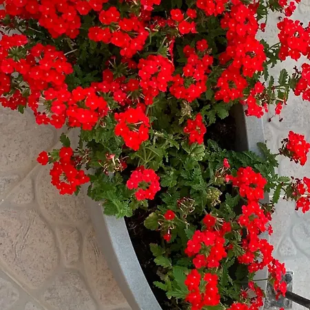 Apartment Sobe Kraft 2 *