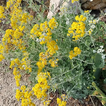 Sobe Kraft 2 Živogošće